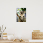 Australia, Queensland, Brisbane, Fig Tree ポスター (キッチン)