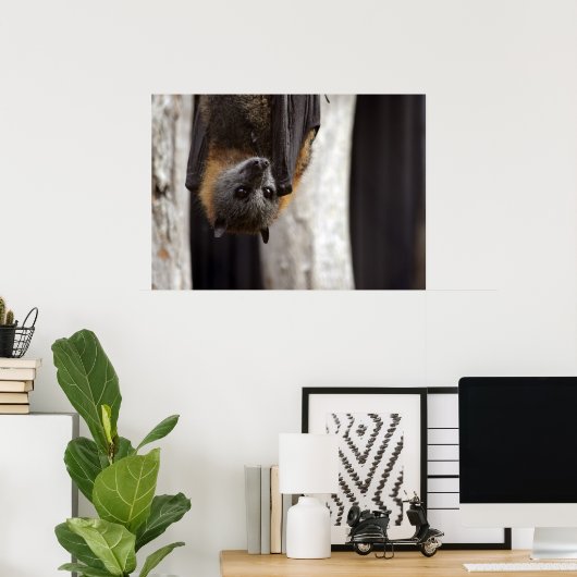 Australian Bat ポスター (ホームオフィス)