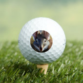 Australian Bilby Alert, Titleistゴルフボール ゴルフボール (インサイチュ 木)