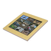 Australian Bird Photo Collage タイル (側面)