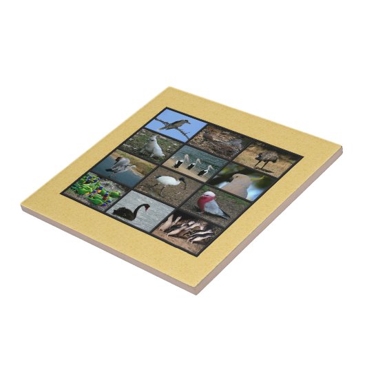 Australian Bird Photo Collage タイル (側面)