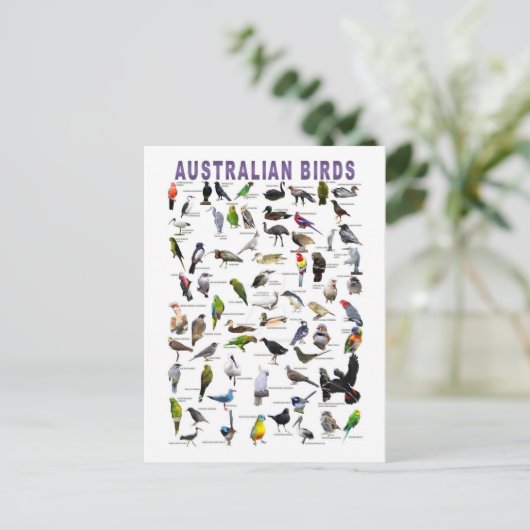 Australian Birds Chartはがき ポストカード (スタンド正面)