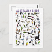 Australian Birds Chartはがき ポストカード (正面/裏面)