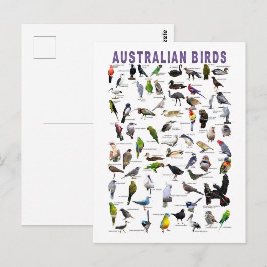 Australian Birds Chartはがき ポストカード (正面/裏面)