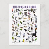 Australian Birds Chartはがき ポストカード (正面)