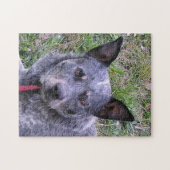 Australian_cars_dog blue.png ジグソーパズル (横)
