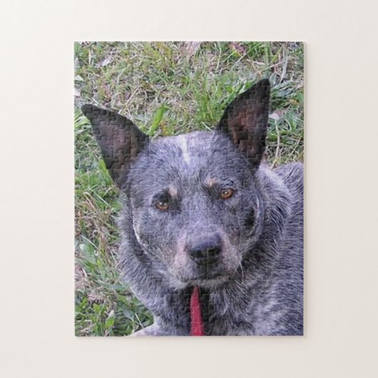 Australian_cars_dog blue.png ジグソーパズル (縦)
