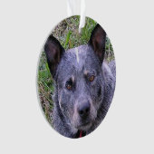 Australian_cattle_dog blue.png オーナメント (正面)