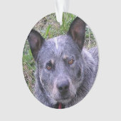 Australian_cattle_dog blue.png オーナメント (正面)