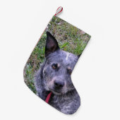 Australian_cattle_dog blue.png スモールクリスマスストッキング (正面 (吊り時))