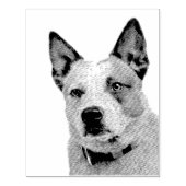 Australian Cattle Dog Gummistempel ラバースタンプ (インプリント)