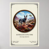 Australian Cattle Dog Zoology Series ポスター (正面)