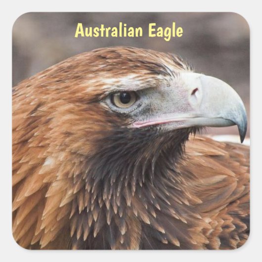 Australian Eagleプロフィール スクエアシール (正面)