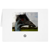 Australian Emu Closeアップ、誕生日・カード (裏面横)