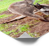 Australian Kangaroos And Emu, Wall Poster ポスター (角)