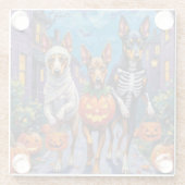 Australian Kelpie Trick-or-Treating Halloween  ガラスコースター (裏面)
