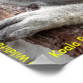 Australian Koala ポスター (角)