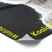 Australian Koala ポスター (角)