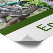 Australian Koalas, Endangered species ポスター (角)