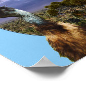 Australian Kookaburra And Emuのポスター ポスター (角)