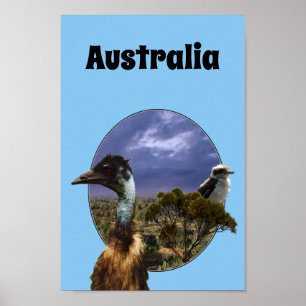 Australian Kookaburra And Emuのポスター ポスター