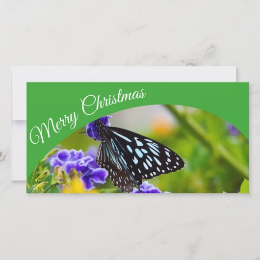 Australian Merry Christmasフォトカード シーズンカード (正面)