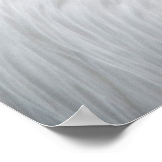 Australian pelican close up ポスター (角)