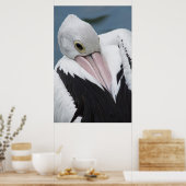 Australian pelican close up ポスター (キッチン)