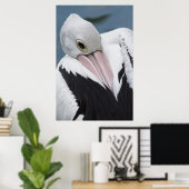 Australian pelican close up ポスター (ホームオフィス)