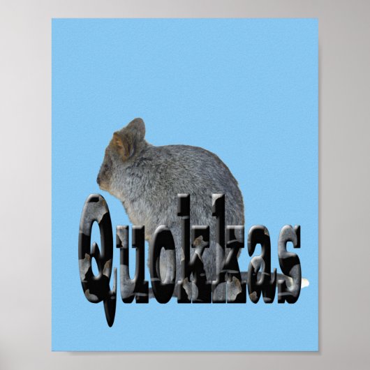 Australian Quokkaは、ポスターの名前である ポスター (正面)