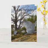 Australian Quokkaアラート、誕生日・カード、 カード (黄色い花)