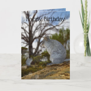 Australian Quokkaアラート、誕生日・カード、 カード