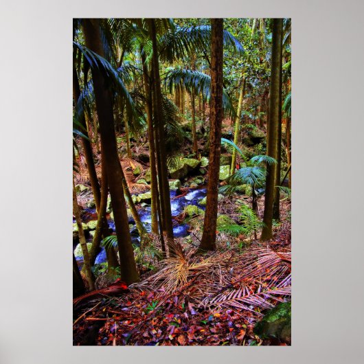 Australian Rainforest ポスター (正面)