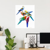 Australian Rosella Parrots Print ポスター (ホームオフィス)