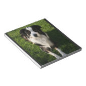 Australian Shepherdフォトメモ帳 ノートパッド (アングル)