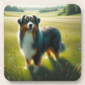 Australian Shepherd コースター (正面)