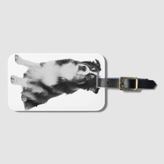 Australian Shepherd ラゲッジタグ (正面横)