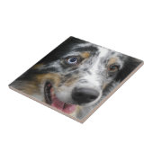 australian-shepherd-32.jpg タイル (側面)