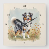 Australian Shepherd Dog Merle Long Tail スクエア壁時計 (正面)
