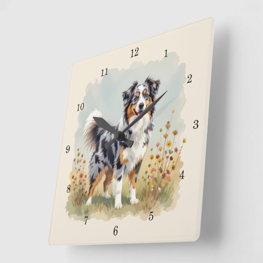 Australian Shepherd Dog Merle Long Tail スクエア壁時計 (傾斜)