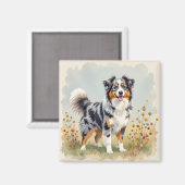Australian Shepherd Dog Merle Long Tail マグネット (正面/裏面)