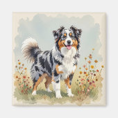 Australian Shepherd Dog Merle Long Tail マグネット (正面)