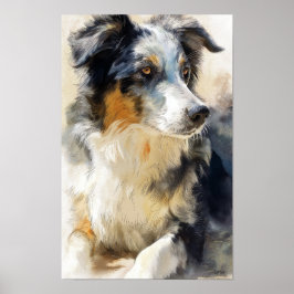 Australian shepherd dog portrait ポスター