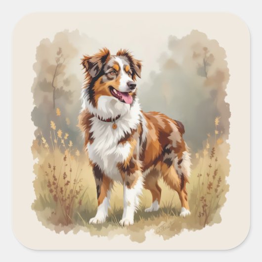 Australian Shepherd Dog Red Merle Aussie スクエアシール (正面)