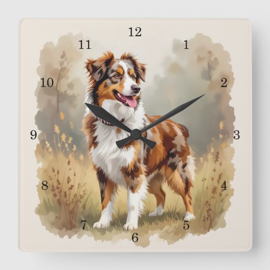 Australian Shepherd Dog Red Merle Aussie スクエア壁時計 (正面)