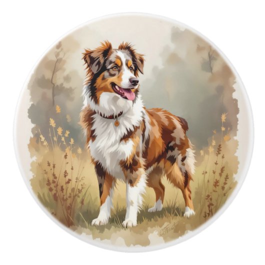 Australian Shepherd Dog Red Merle Aussie セラミックノブ (正面)