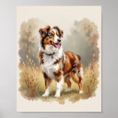 Australian Shepherd Dog Red Merle Aussie ポスター (正面)
