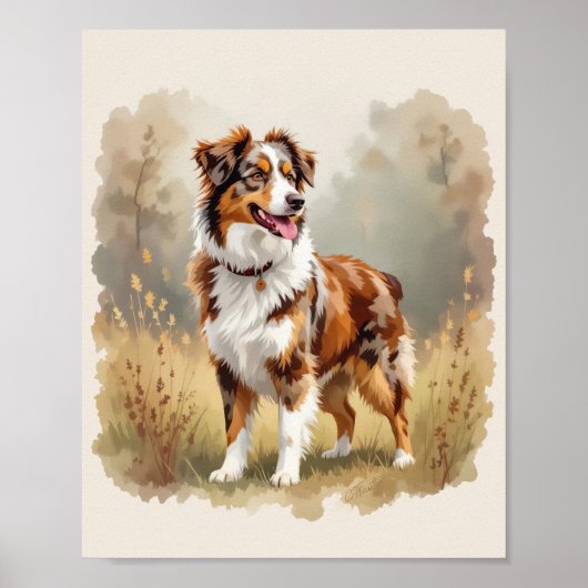 Australian Shepherd Dog Red Merle Aussie ポスター (正面)