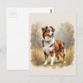 Australian Shepherd Dog Red Merle Aussie ポストカード (正面/裏面)