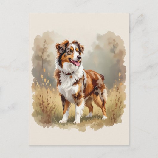 Australian Shepherd Dog Red Merle Aussie ポストカード (正面)